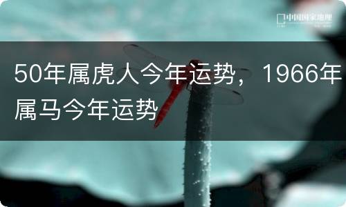 50年属虎人今年运势，1966年属马今年运势