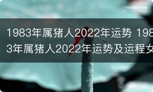 1983年属猪人2022年运势 1983年属猪人2022年运势及运程女