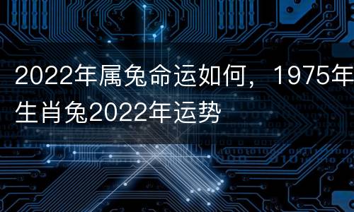 2022年属兔命运如何，1975年生肖兔2022年运势