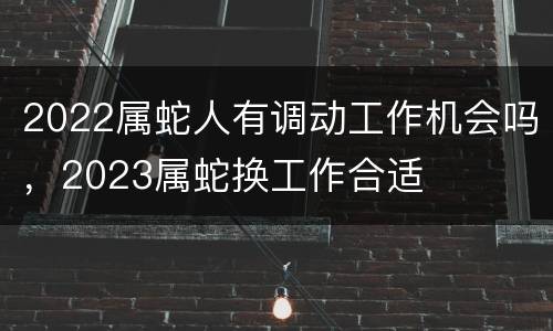 2022属蛇人有调动工作机会吗，2023属蛇换工作合适