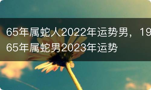 65年属蛇人2022年运势男，1965年属蛇男2023年运势