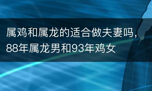 属鸡和属龙的适合做夫妻吗，88年属龙男和93年鸡女