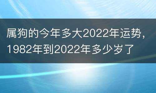 属狗的今年多大2022年运势，1982年到2022年多少岁了