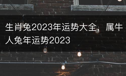 生肖兔2023年运势大全，属牛人兔年运势2023