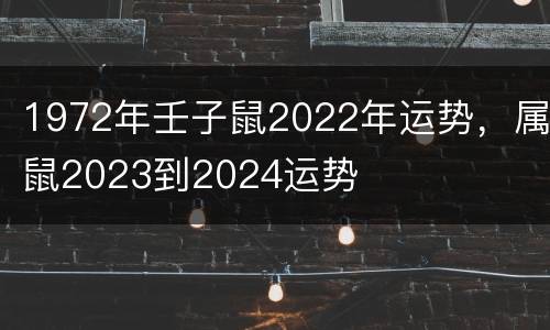 1972年壬子鼠2022年运势，属鼠2023到2024运势