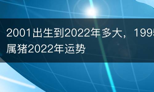 2001出生到2022年多大，1995属猪2022年运势