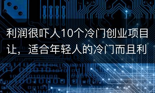 利润很吓人10个冷门创业项目让，适合年轻人的冷门而且利润高的创业项目有