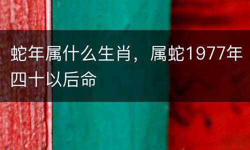 蛇年属什么生肖，属蛇1977年四十以后命