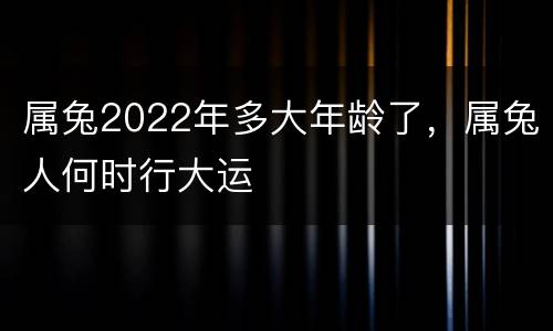 属兔2022年多大年龄了，属兔人何时行大运