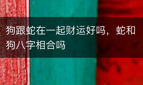 狗跟蛇在一起财运好吗，蛇和狗八字相合吗