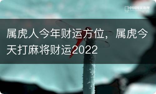 属虎人今年财运方位，属虎今天打麻将财运2022