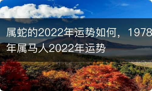 属蛇的2022年运势如何，1978年属马人2022年运势