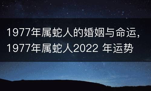 1977年属蛇人的婚姻与命运，1977年属蛇人2022 年运势