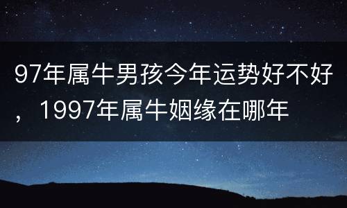 97年属牛男孩今年运势好不好，1997年属牛姻缘在哪年