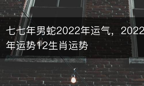 七七年男蛇2022年运气，2022年运势12生肖运势