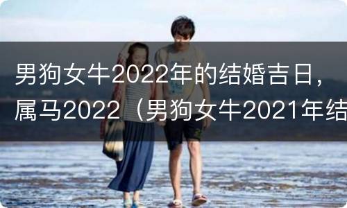 男狗女牛2022年的结婚吉日，属马2022（男狗女牛2021年结婚好吗）