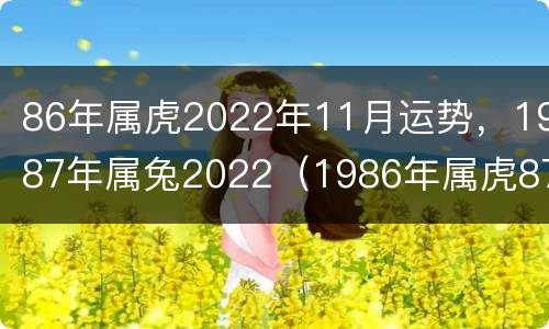 86年属虎2022年11月运势，1987年属兔2022（1986年属虎87属兔2021婚姻）