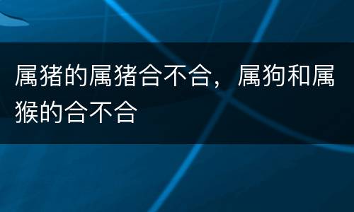 属猪的属猪合不合，属狗和属猴的合不合