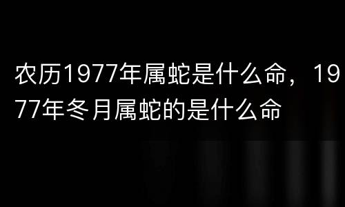 农历1977年属蛇是什么命，1977年冬月属蛇的是什么命