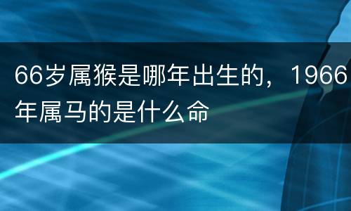 66岁属猴是哪年出生的，1966年属马的是什么命