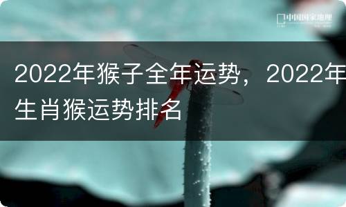 2022年猴子全年运势，2022年生肖猴运势排名