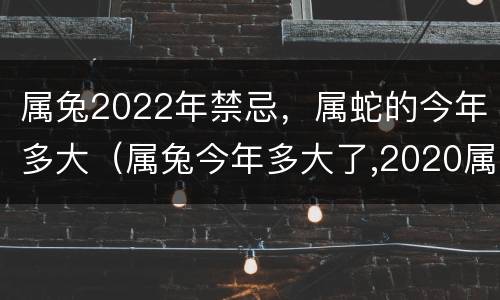 属兔2022年禁忌，属蛇的今年多大（属兔今年多大了,2020属蛇多大了）