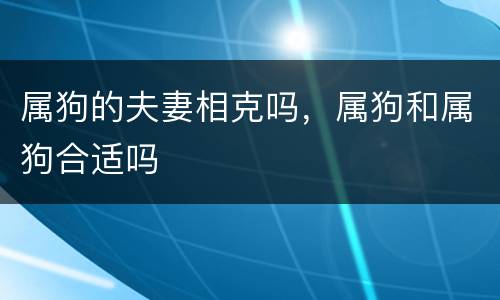 属狗的夫妻相克吗，属狗和属狗合适吗