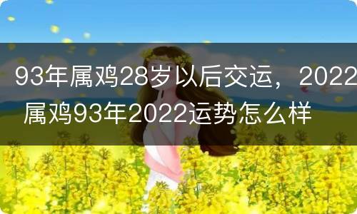 93年属鸡28岁以后交运，2022 属鸡93年2022运势怎么样