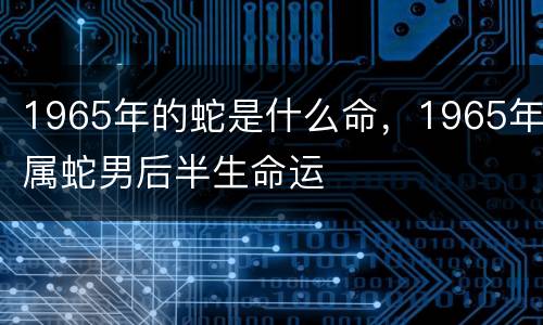 1965年的蛇是什么命，1965年属蛇男后半生命运