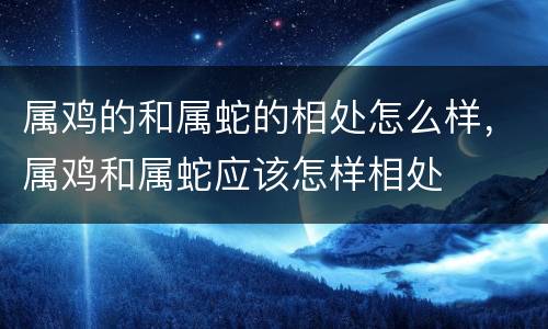 属鸡的和属蛇的相处怎么样，属鸡和属蛇应该怎样相处