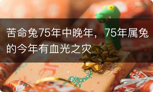 苦命兔75年中晚年，75年属兔的今年有血光之灾