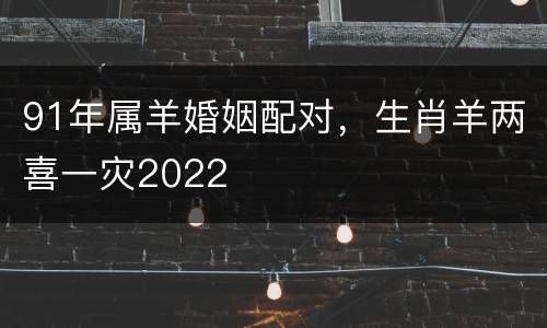 91年属羊婚姻配对，生肖羊两喜一灾2022