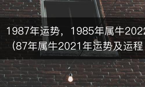 1987年运势，1985年属牛2022（87年属牛2021年运势及运程每月运程）