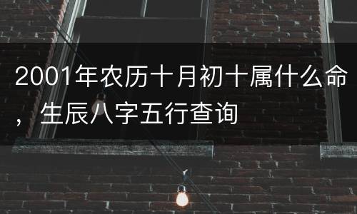 2001年农历十月初十属什么命，生辰八字五行查询