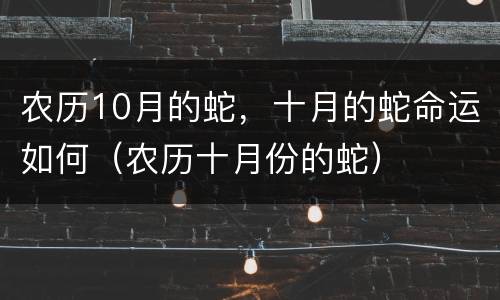 农历10月的蛇，十月的蛇命运如何（农历十月份的蛇）