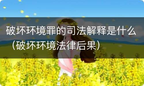 破坏环境罪的司法解释是什么（破坏环境法律后果）