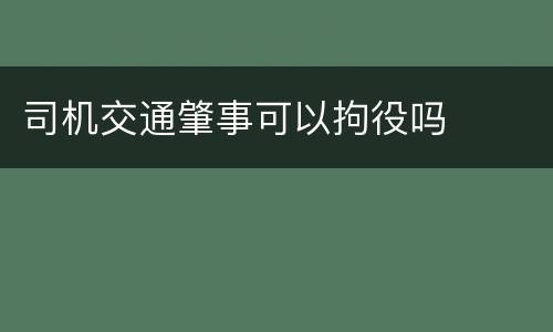 司机交通肇事可以拘役吗