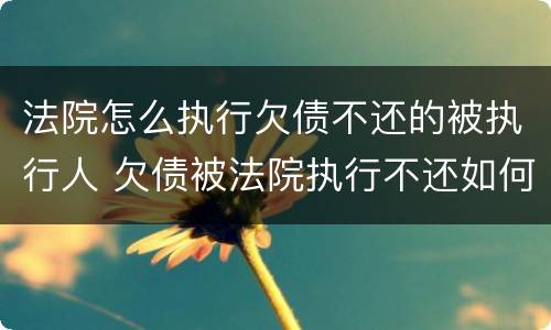 法院怎么执行欠债不还的被执行人 欠债被法院执行不还如何解决