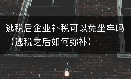 逃税后企业补税可以免坐牢吗（逃税之后如何弥补）