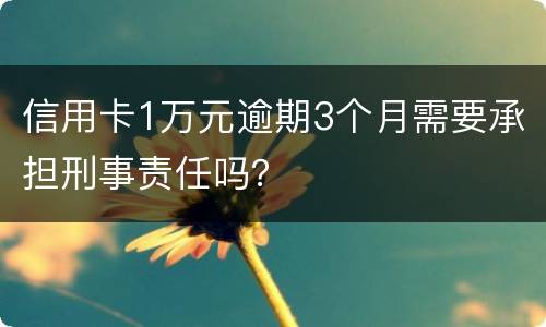 信用卡1万元逾期3个月需要承担刑事责任吗？