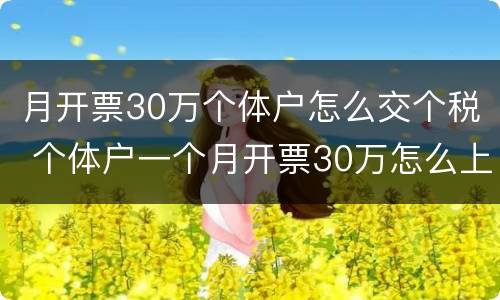 月开票30万个体户怎么交个税 个体户一个月开票30万怎么上税