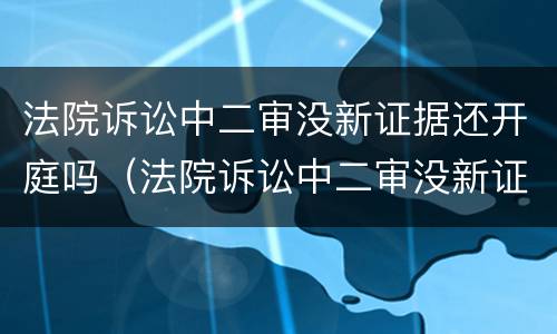 法院诉讼中二审没新证据还开庭吗（法院诉讼中二审没新证据还开庭吗）