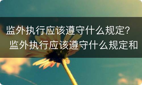 监外执行应该遵守什么规定？ 监外执行应该遵守什么规定和规定