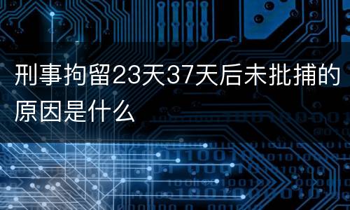 刑事拘留23天37天后未批捕的原因是什么