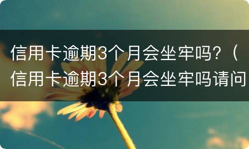 信用卡逾期3个月会坐牢吗?（信用卡逾期3个月会坐牢吗请问）