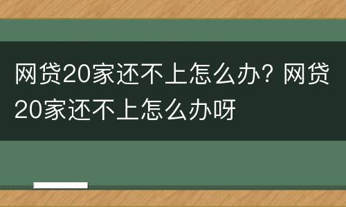 网贷20家还不上怎么办? 网贷20家还不上怎么办呀