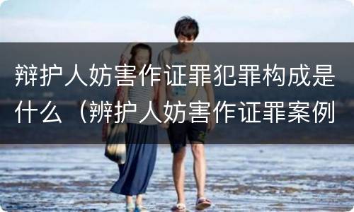 辩护人妨害作证罪犯罪构成是什么（辨护人妨害作证罪案例）