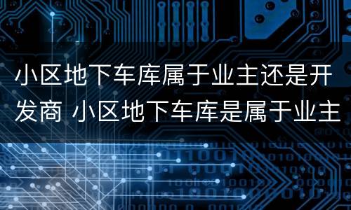 小区地下车库属于业主还是开发商 小区地下车库是属于业主还是属于开发商