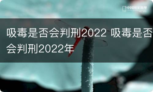 吸毒是否会判刑2022 吸毒是否会判刑2022年