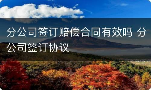 分公司签订赔偿合同有效吗 分公司签订协议